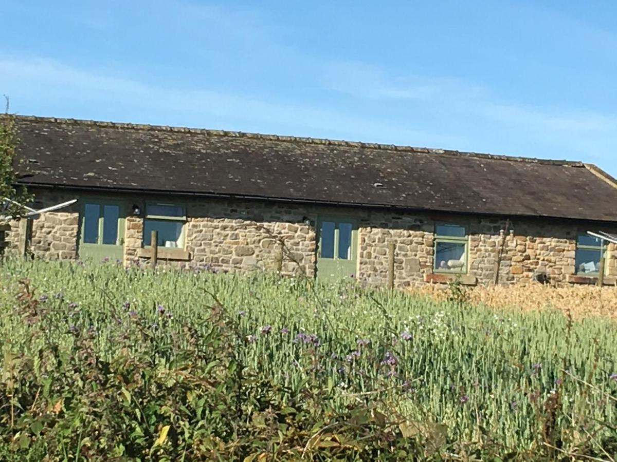Riding Farm Cottages Gateshead Eksteriør billede